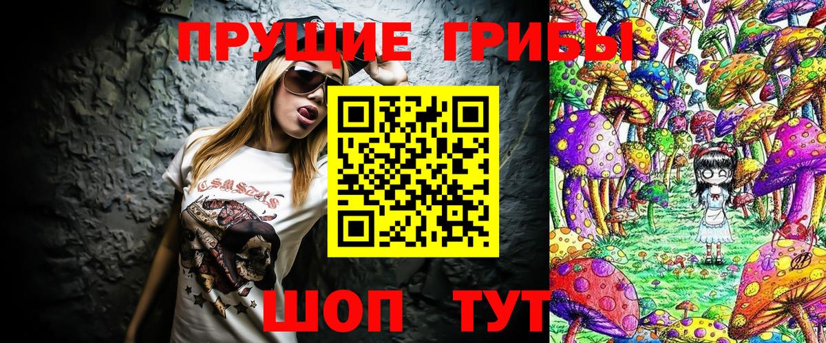 Тосно  Галлюциногенные грибы MAGIC MUSHROOMS  Вход с VPN 